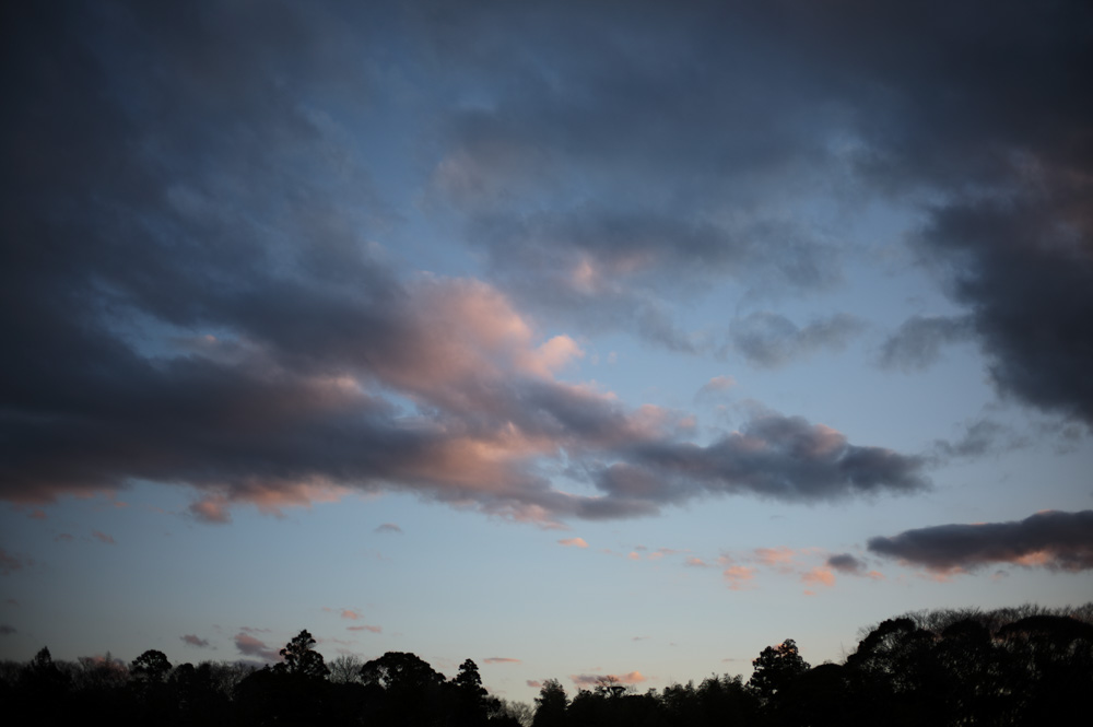 節分・立春 早稲田の穴八幡宮で一陽来復御守をいただく