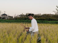 1年の終わりの日　田んぼにお飾りを戻す日