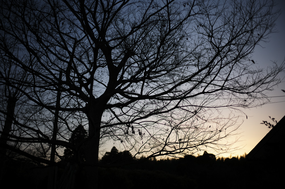 土用入り、内発的動機に基づく行動がリンクするところ　田んぼのゴミを拾いながら田起こし DAY10