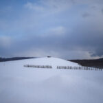 小樽・札幌冬景色