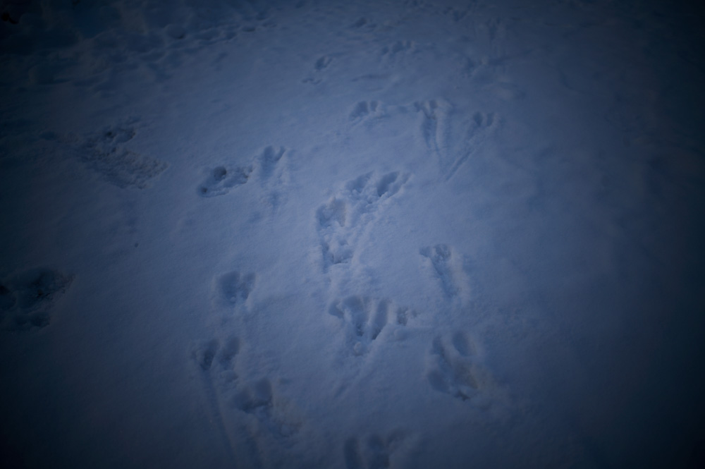 小樽・札幌冬景色と大雪協奏曲