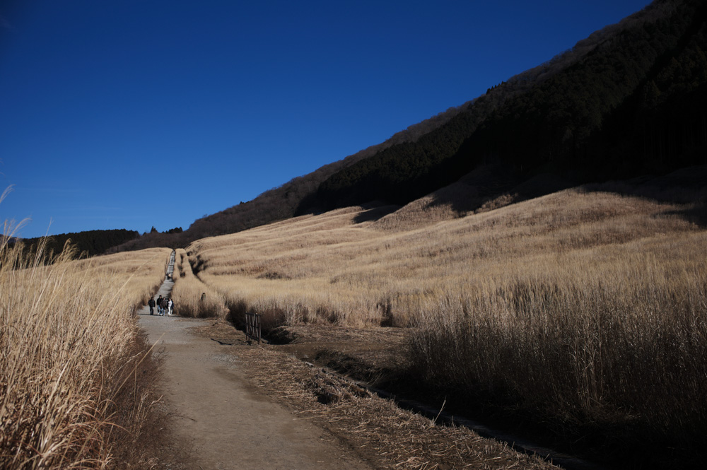 エネルギーの切り替わりを感じに箱根九頭龍神社 本宮へ　立春そして牡牛座滞在中の天王星巡行へ