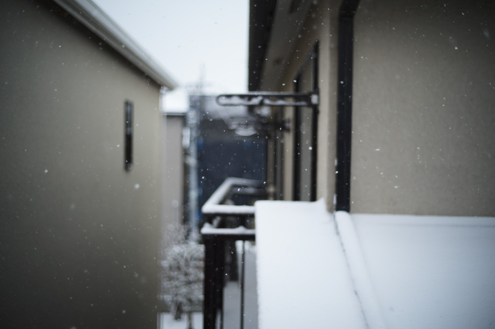 雪の東京　新宿御苑雪模様