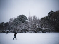 雪の東京　新宿御苑雪模様