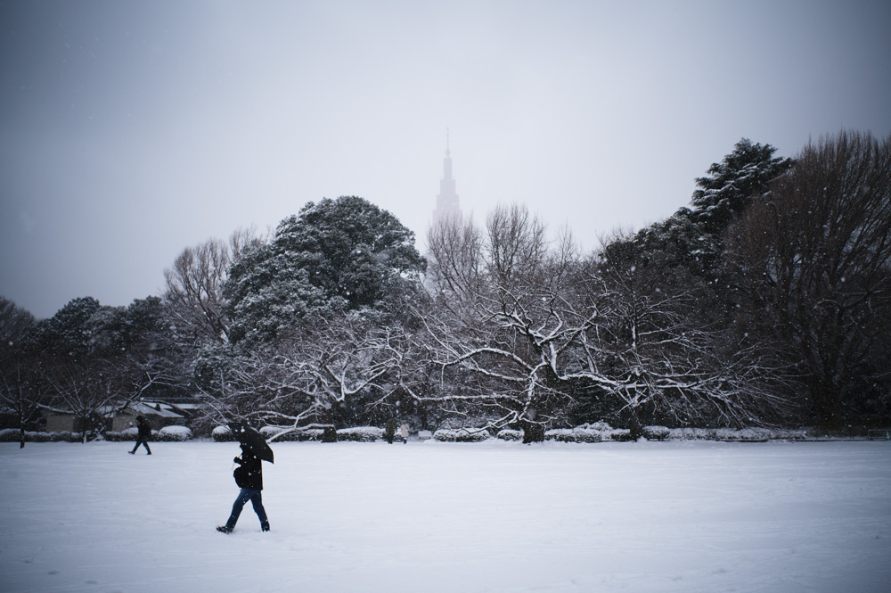 雪の東京　新宿御苑雪模様