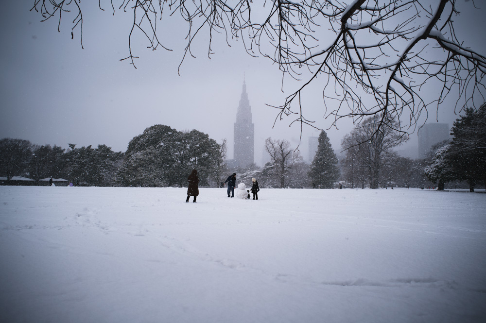 雪の東京　新宿御苑雪模様