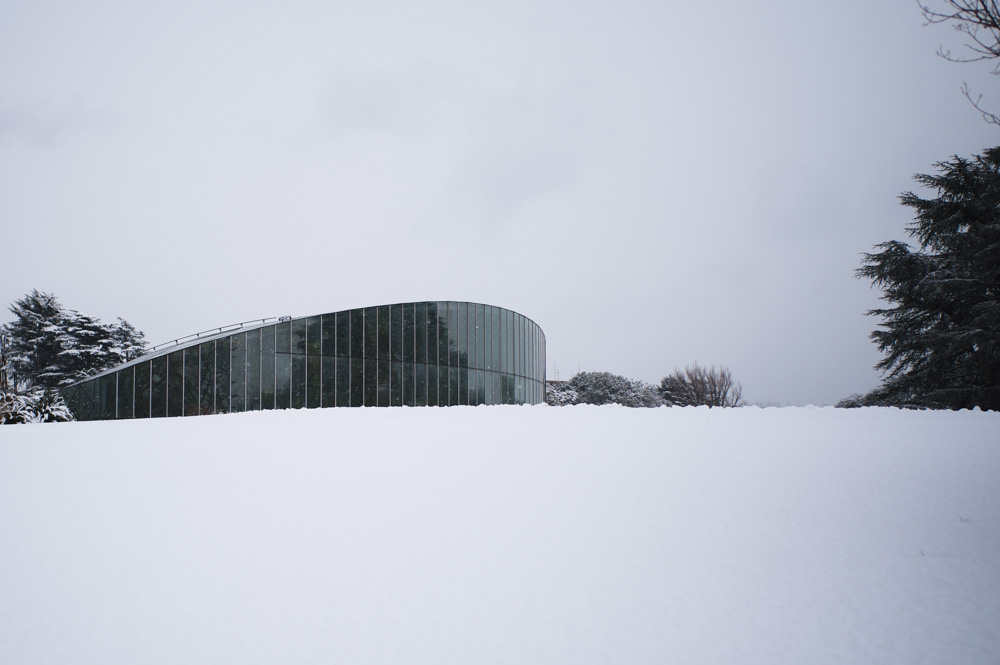 雪の東京　新宿御苑雪模様