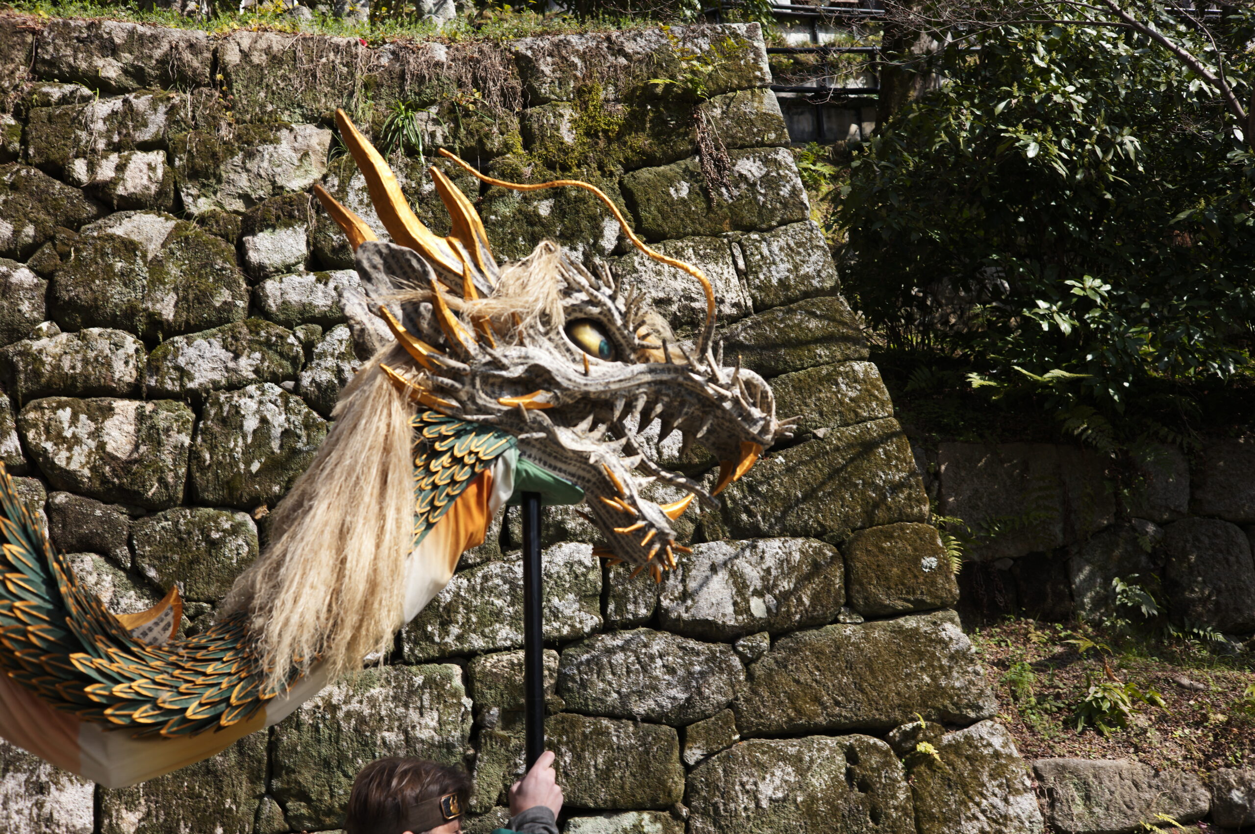 京の街に龍、現る！　清水寺 青龍会