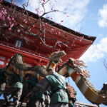 京の街に龍、現る！　清水寺 青龍会