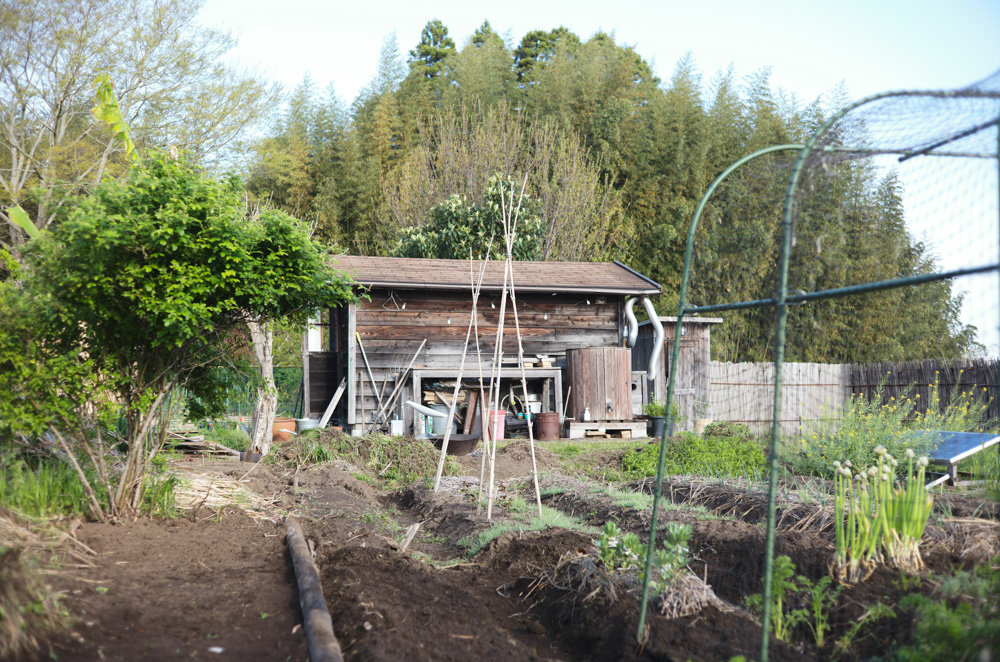 夏野菜の準備　小屋横の区画を整える