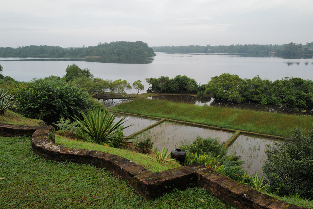 スリランカの建築家ジェフリー・バワの別荘 ルヌガンガへ Lunuganga Estate by Geoffrey Bawa