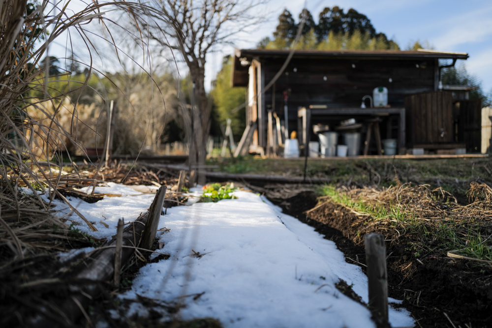 小屋の土留補修 DAY13　房総フィールドの残雪と小屋前面の雑草とりと整地