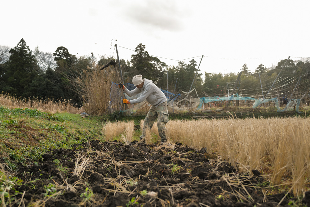 2025年冬至、野良始めは田起こしから