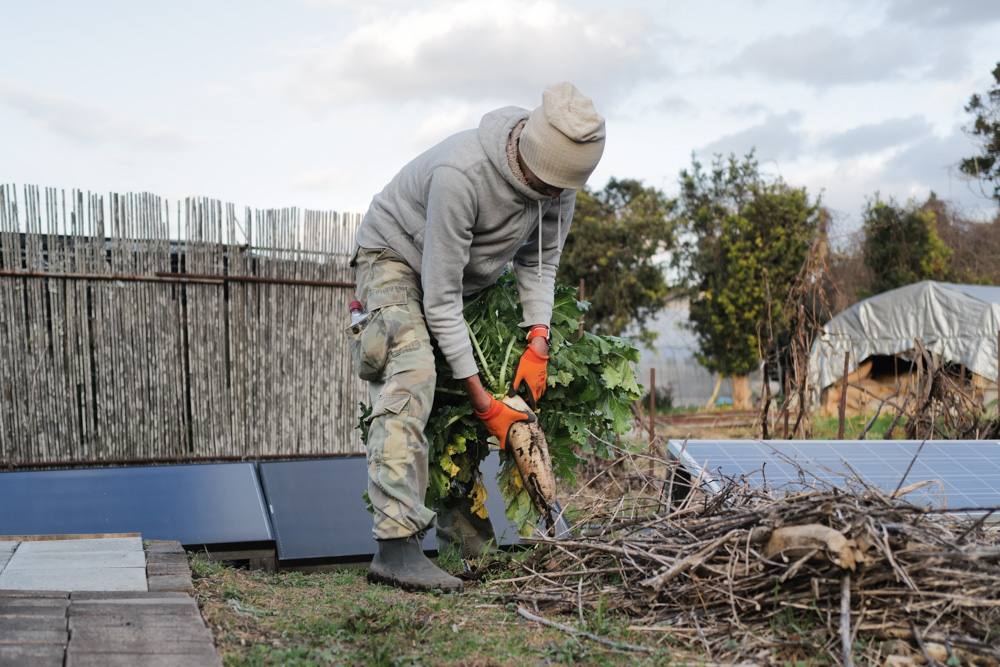 2025年冬至、野良始めは田起こしから