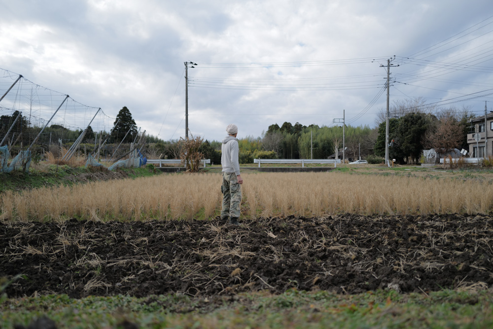 蓮の鉢に氷が張り、水仙が咲く　田起こしDAY2