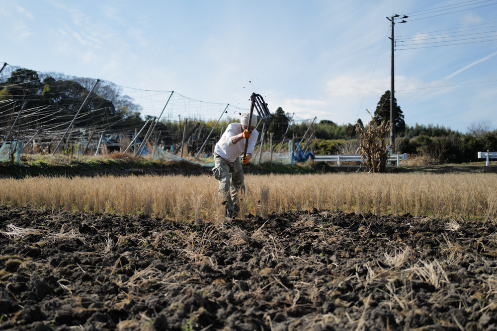 2025年大晦日　創られたこの世を想いながら田起こし DAY4