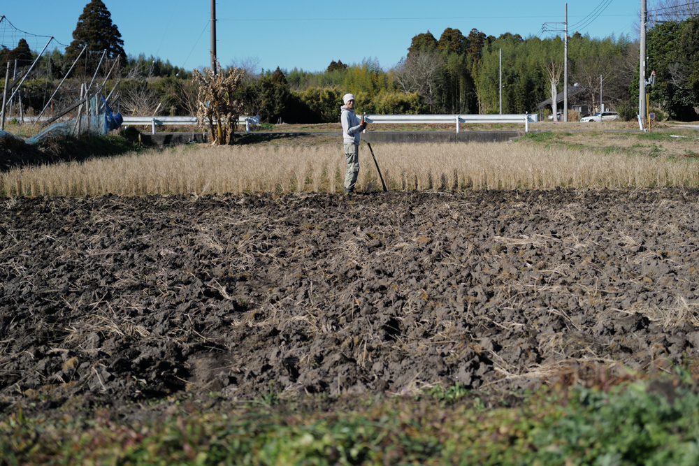 新春田んぼはじめ 田起こしDAY6