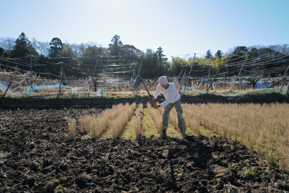 新春田んぼはじめ 田起こしDAY6