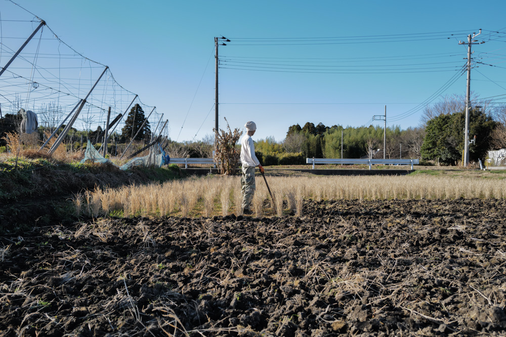 新春田んぼはじめ 田起こしDAY6