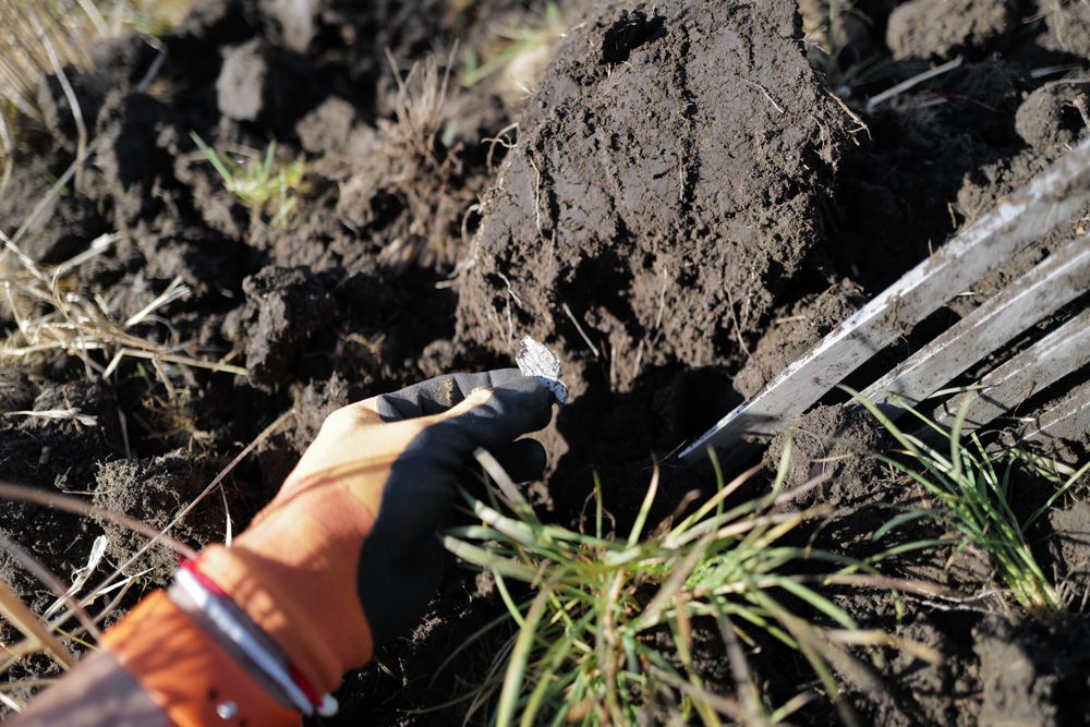 土用入り、内発的動機に基づく行動がリンクするところ　田んぼのゴミを拾いながら田起こし DAY10