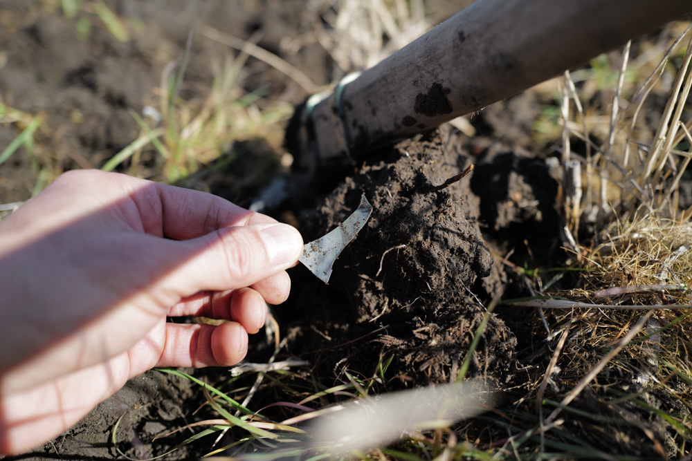 土用入り、内発的動機に基づく行動がリンクするところ　田んぼのゴミを拾いながら田起こし DAY10