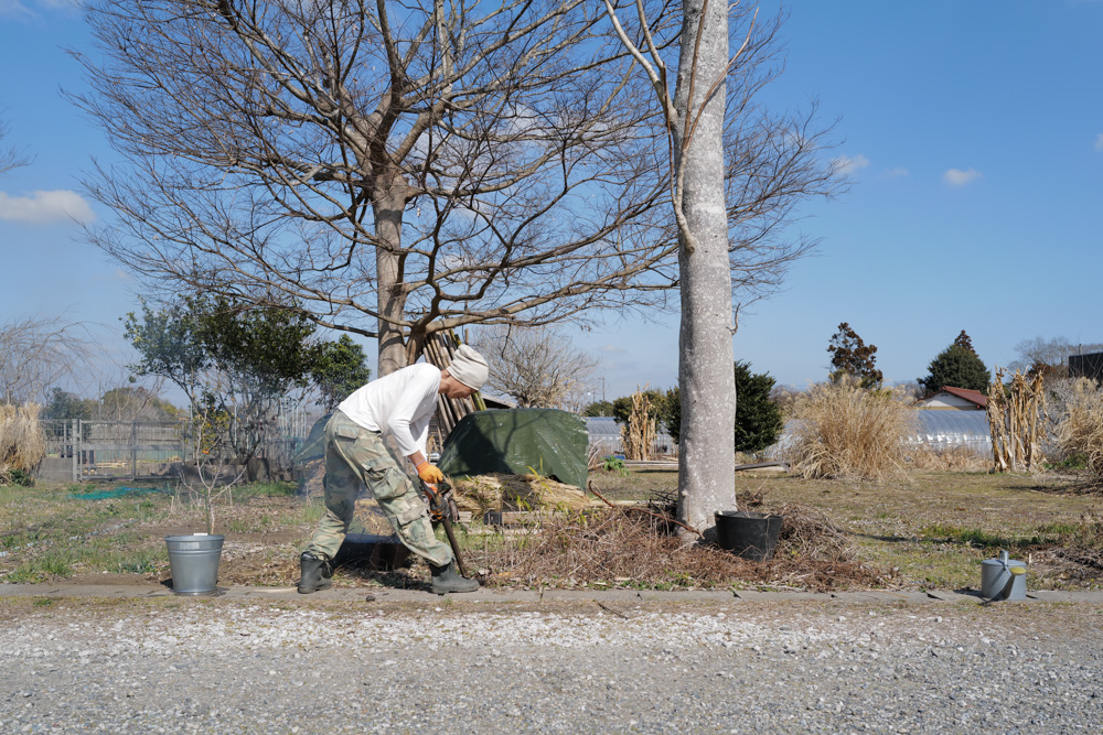 春を感じる1日 敷地前面を整えじゃがいもの植え付け準備をする