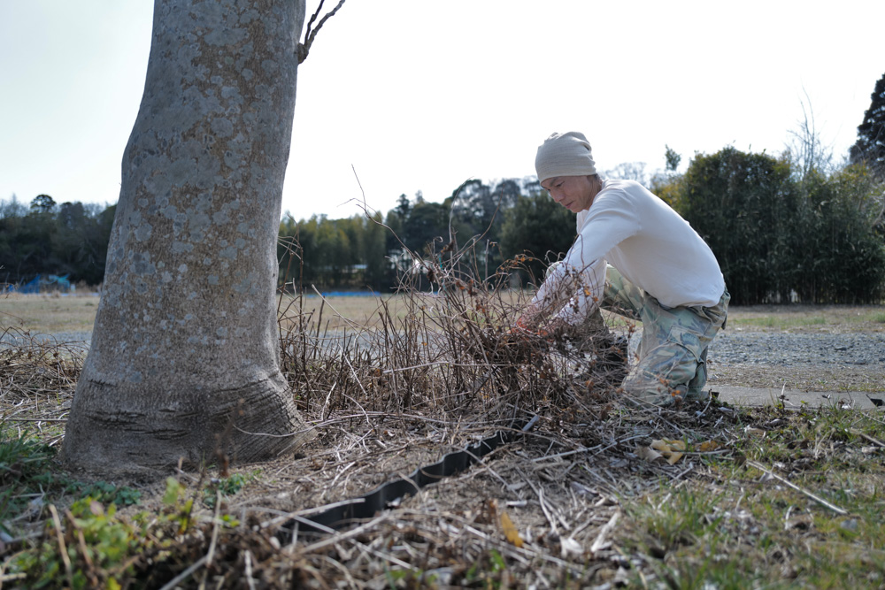春を感じる1日 敷地前面を整えじゃがいもの植え付け準備をする