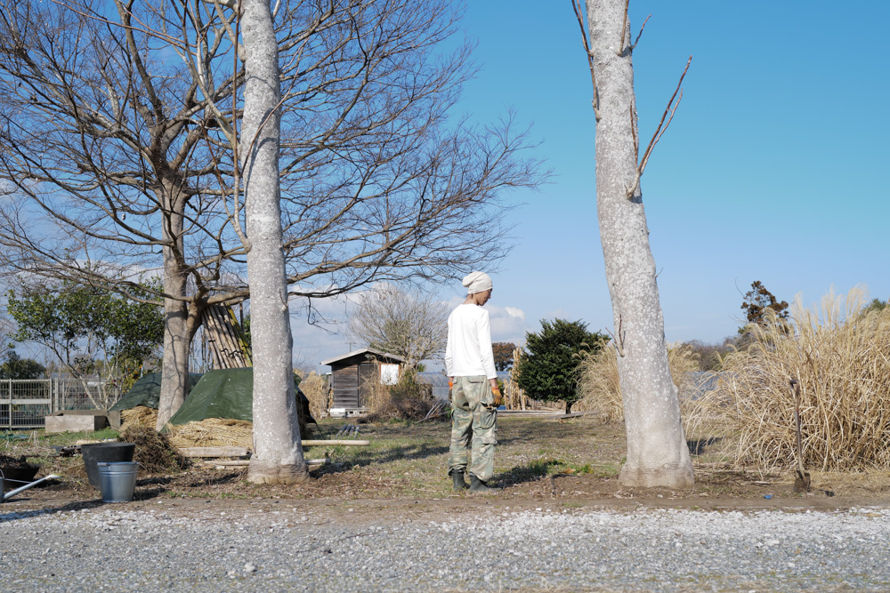 春を感じる1日　敷地前面を整えじゃがいもの植え付け準備をする