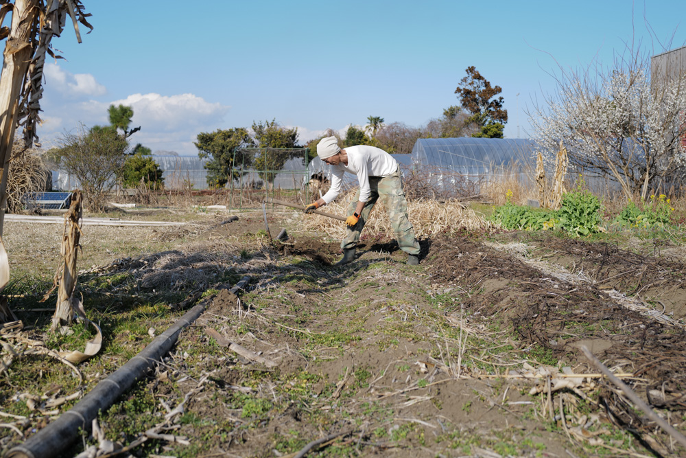 春を感じる1日 敷地前面を整えじゃがいもの植え付け準備をする