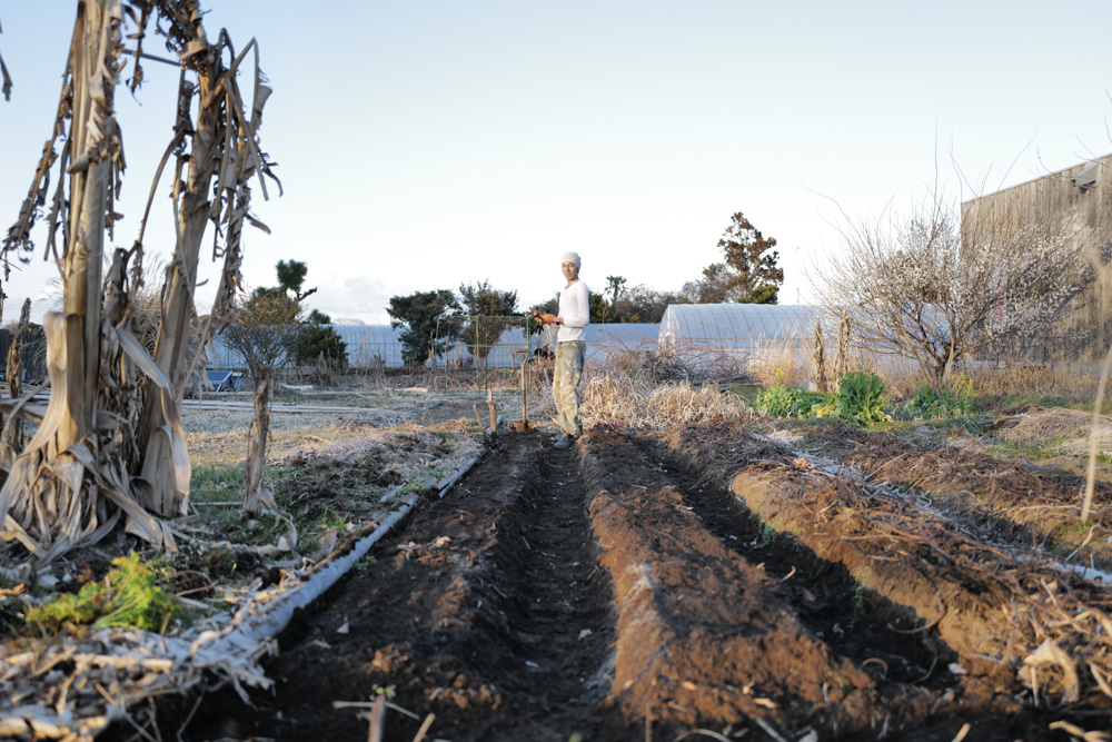春を感じる1日 敷地前面を整えじゃがいもの植え付け準備をする