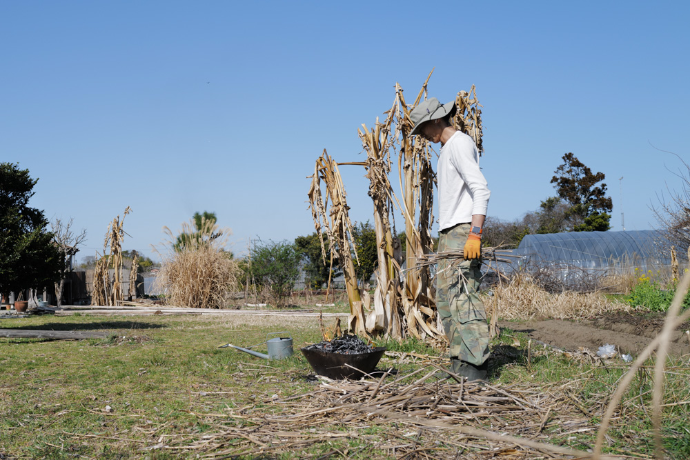 2026年 畑始め じゃがいもの植え付け