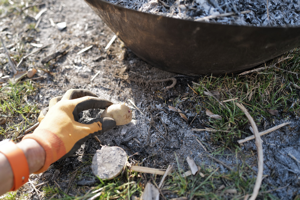 2026年 畑始め じゃがいもの植え付け