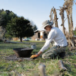 2026年 畑始め じゃがいもの植え付け