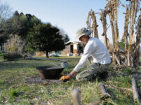 2026年 畑始め じゃがいもの植え付け