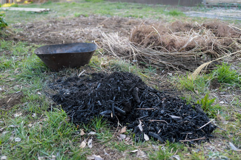残渣を燃やし竹の抜根、レモンの苗木を植える