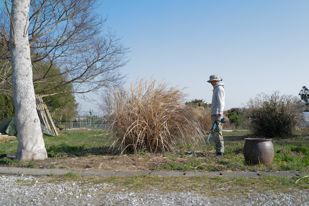 ススキの刈り取り、鳥の巣の神事 2026