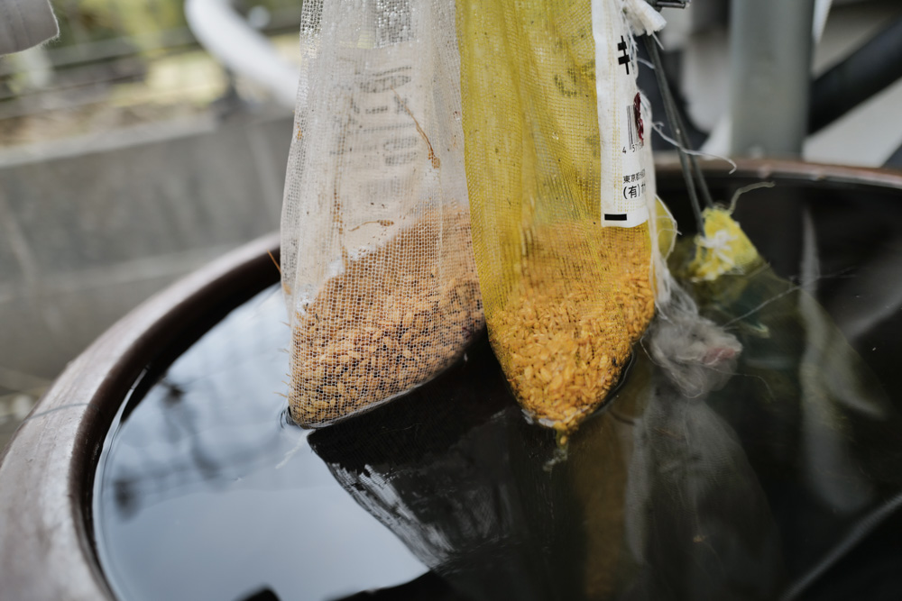 ススキの刈り取り、鳥の巣の神事 2026