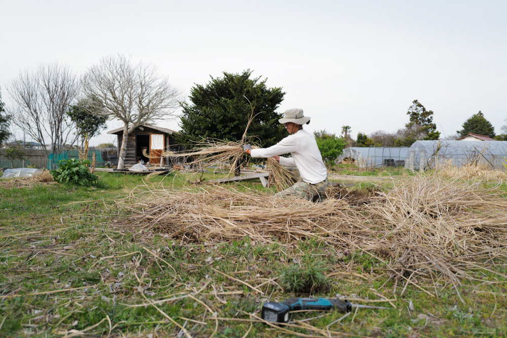 ススキの刈り取り、鳥の巣の神事 2026