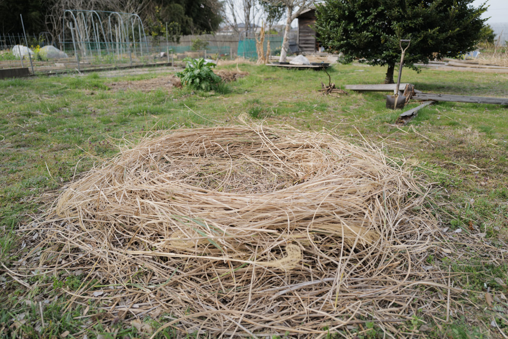 ススキの刈り取り、鳥の巣の神事 2026