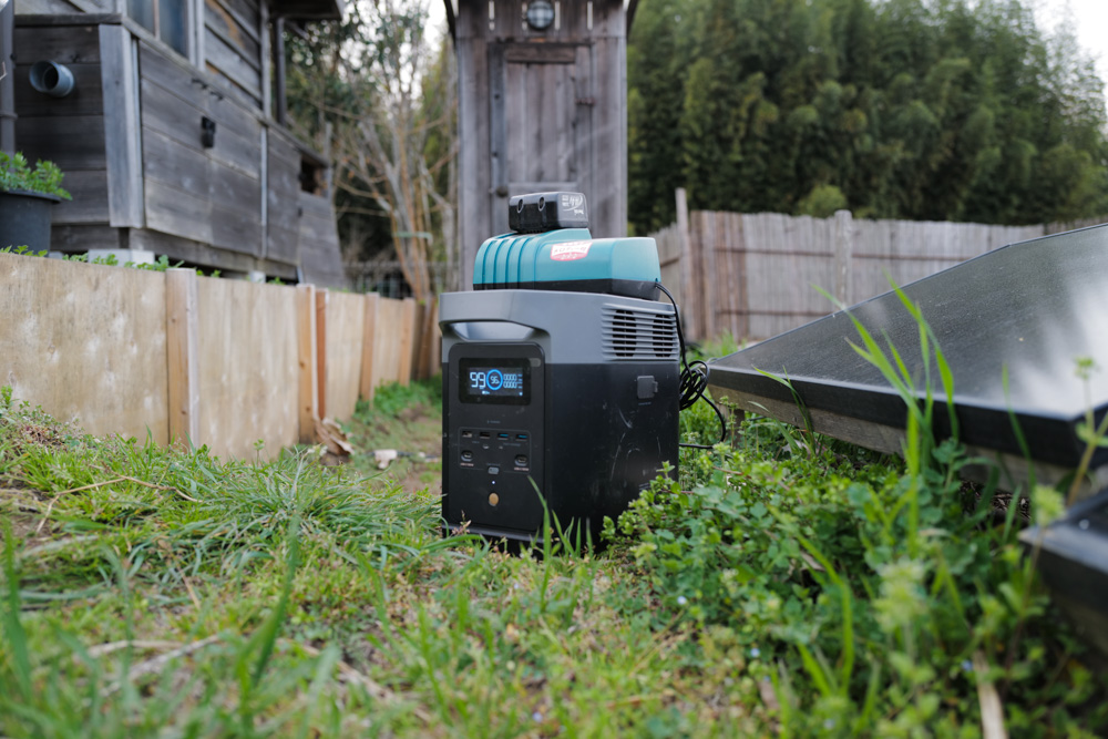 ススキの刈り取り、鳥の巣の神事 2026