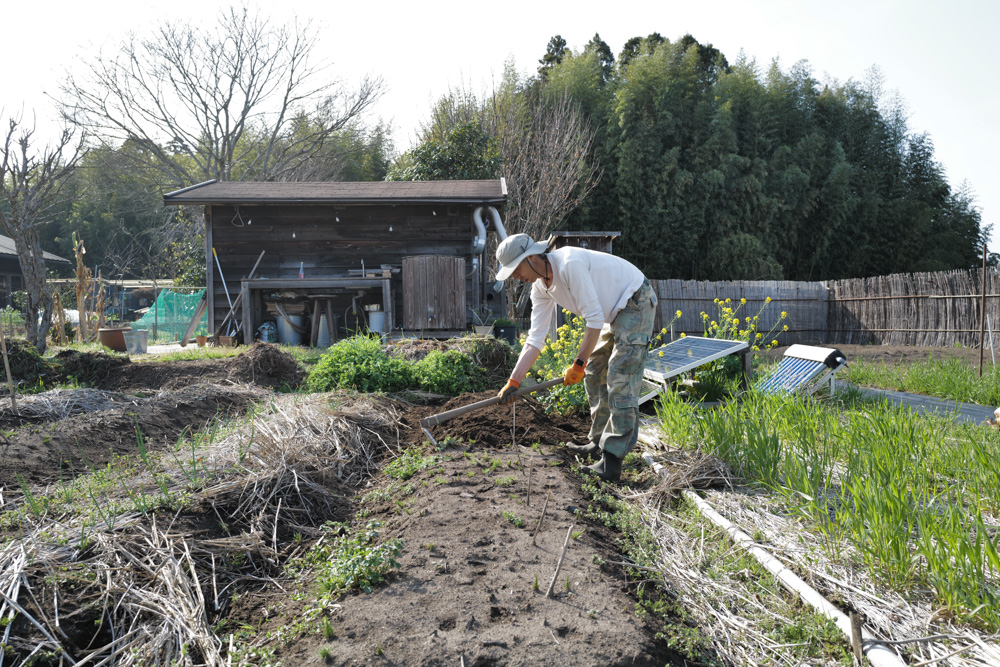 春めいてきた房総　レタスミックスの種下ろし