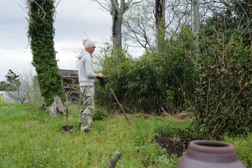 区画を整えて里芋を植え付け
