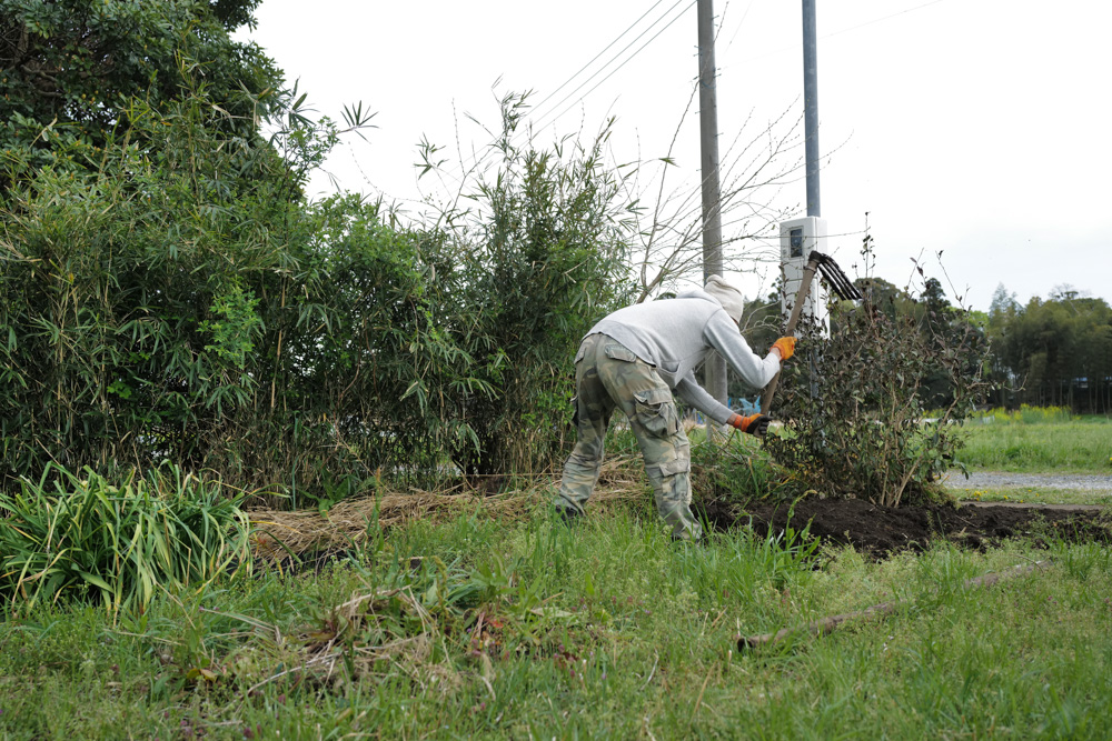 区画を整えて里芋を植え付け