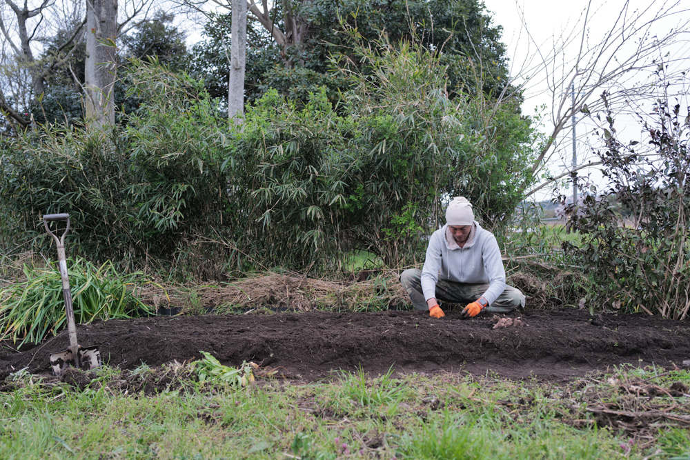 区画を整えて里芋を植え付け