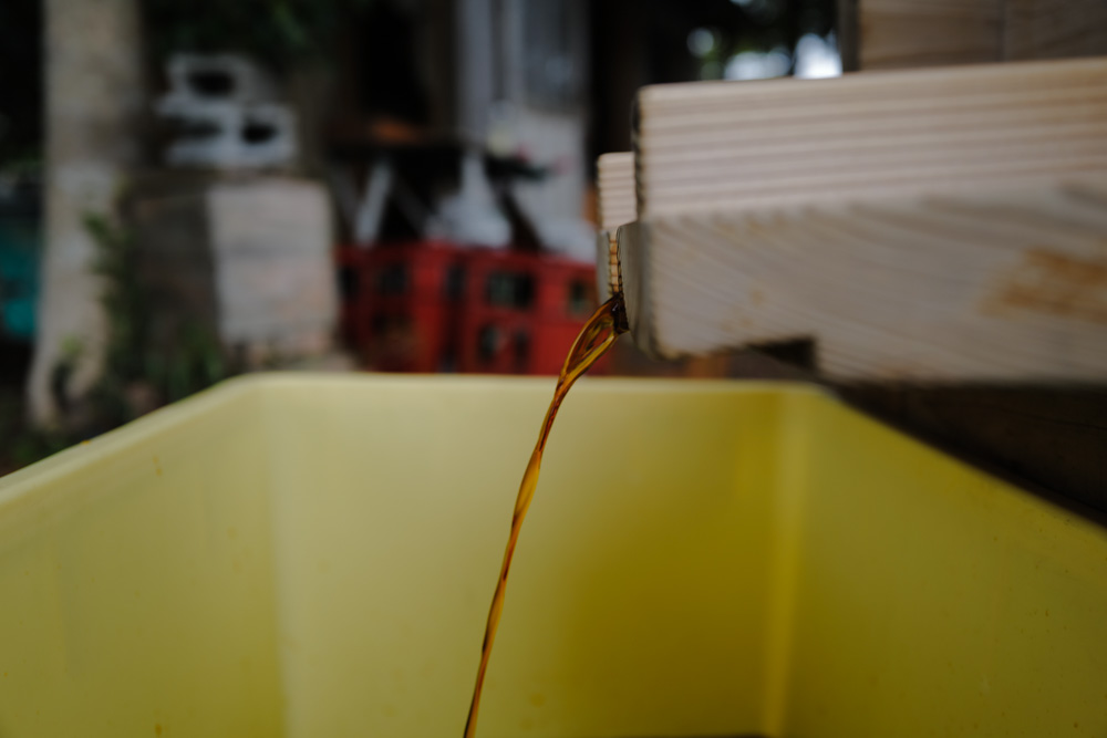 手造りお醤油の搾り 2026