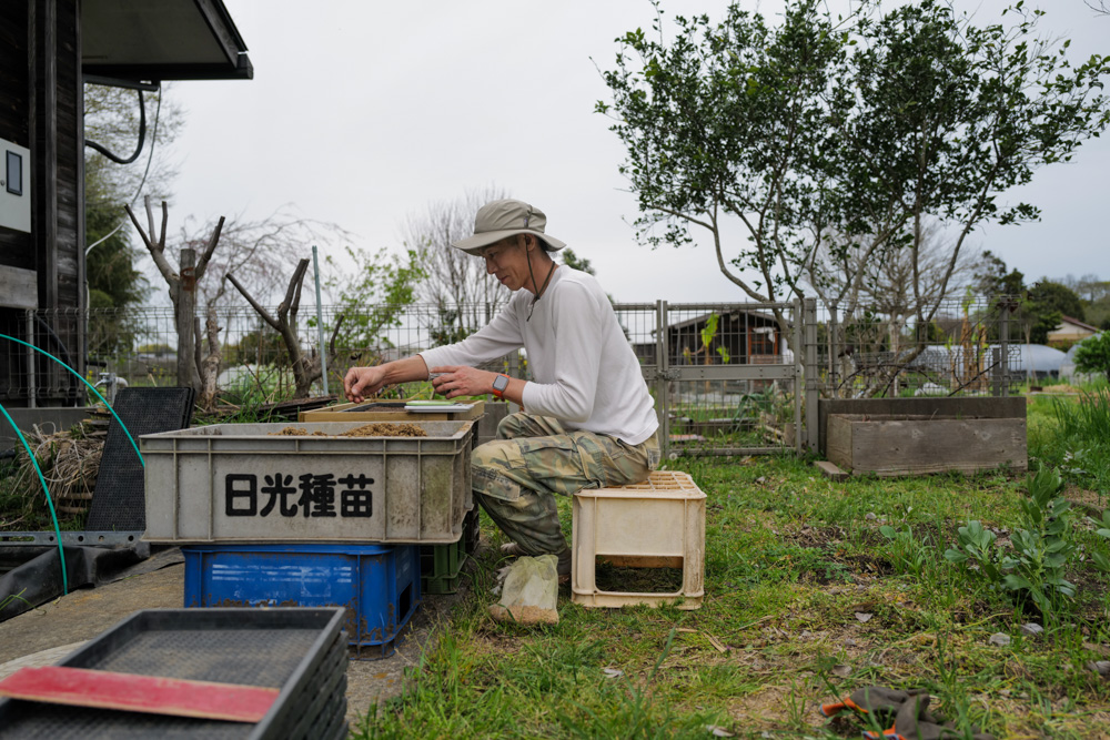 房総オルタナティブ米2026 苗づくり
