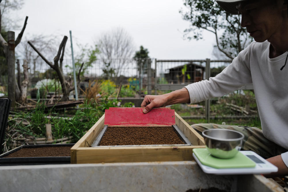 房総オルタナティブ米2026 苗づくり