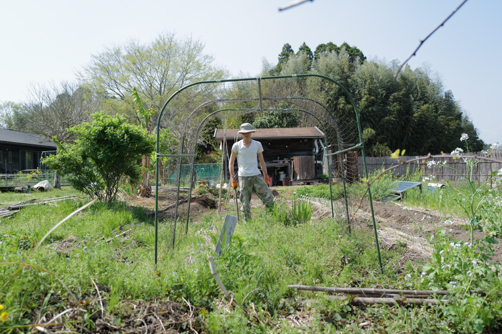表面だけ見ていてもわからないこと メイン区画の雑草取り&抜根