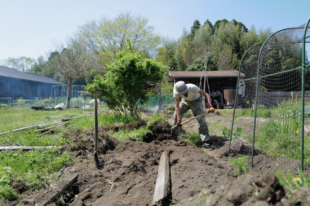 表面だけ見ていてもわからないこと　メイン区画の雑草取り＆抜根