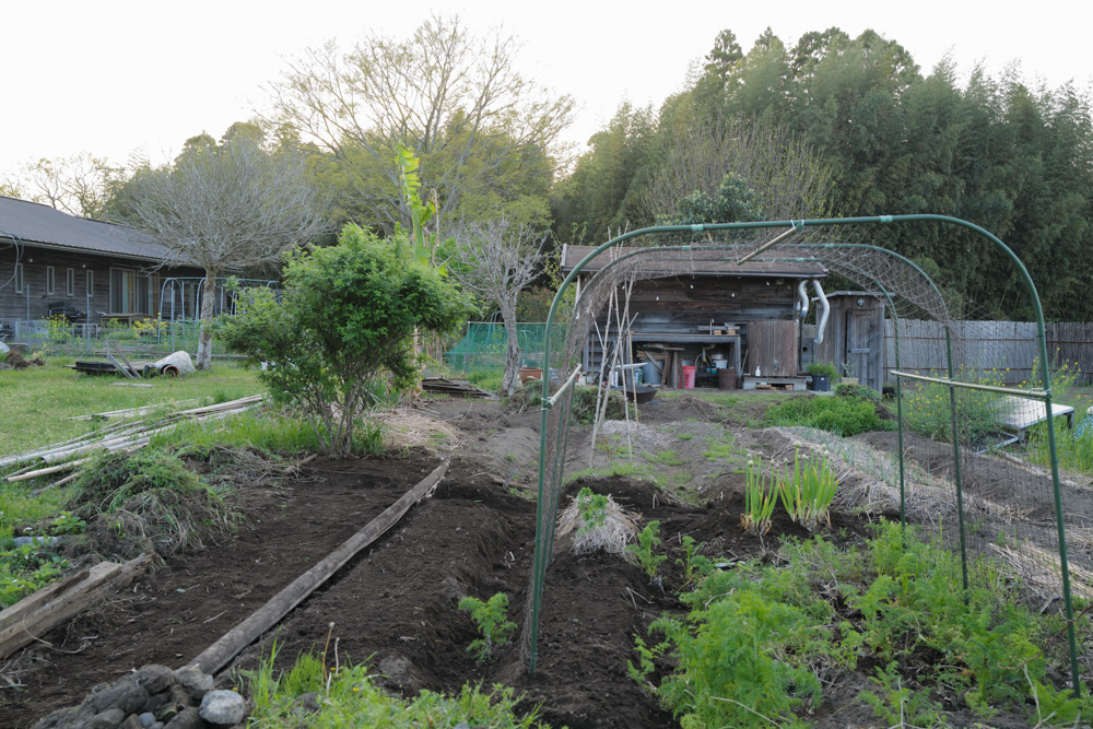 表面だけ見ていてもわからないこと メイン区画の雑草取り&抜根